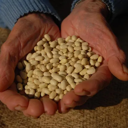 Bed & Breakfast Fattoria Nonno Neno Appignano (Macerata)