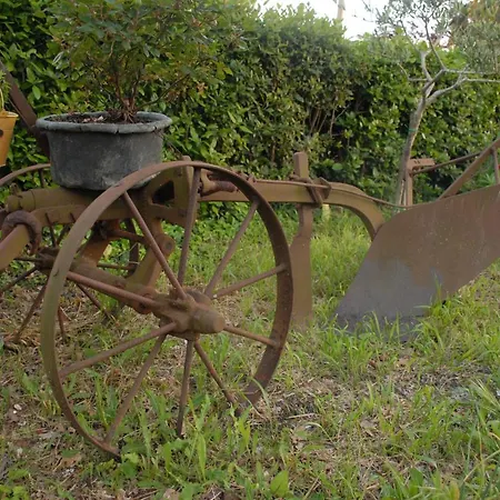 Fattoria Nonno Neno 4* Appignano (Macerata)