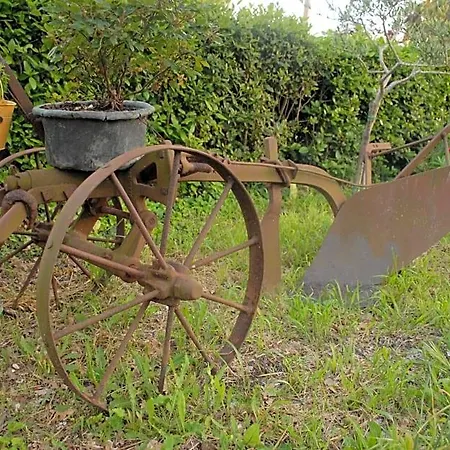 Fattoria Nonno Neno Bed & Breakfast Appignano (Macerata)